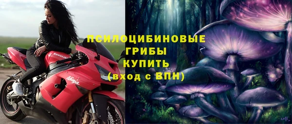 стафф Алзамай