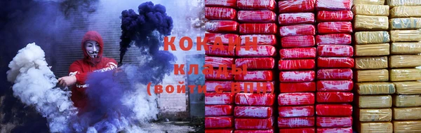 стафф Алзамай