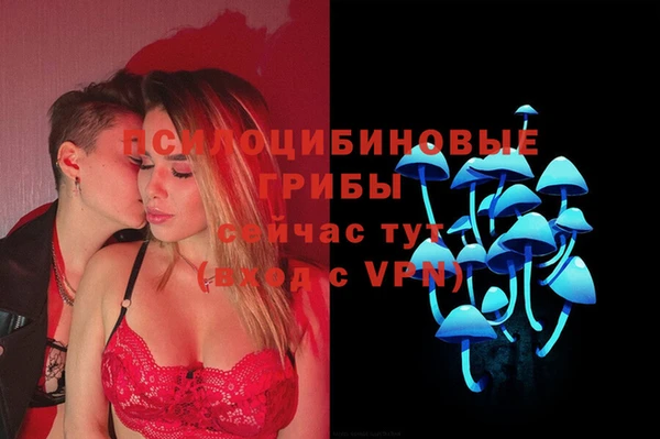 стафф Алзамай