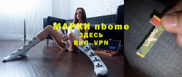 стафф Алзамай