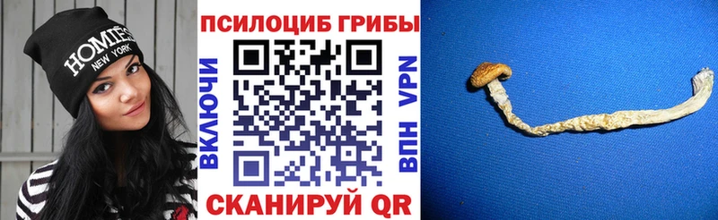 Псилоцибиновые грибы GOLDEN TEACHER  hydra как зайти  Елабуга 